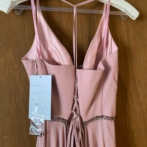 Blush Elegant Dress